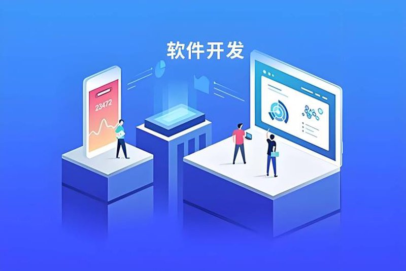 定制开发软件:企业成长的催化剂